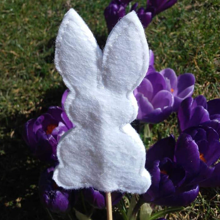 SD: ITH Hase2018 G 10er