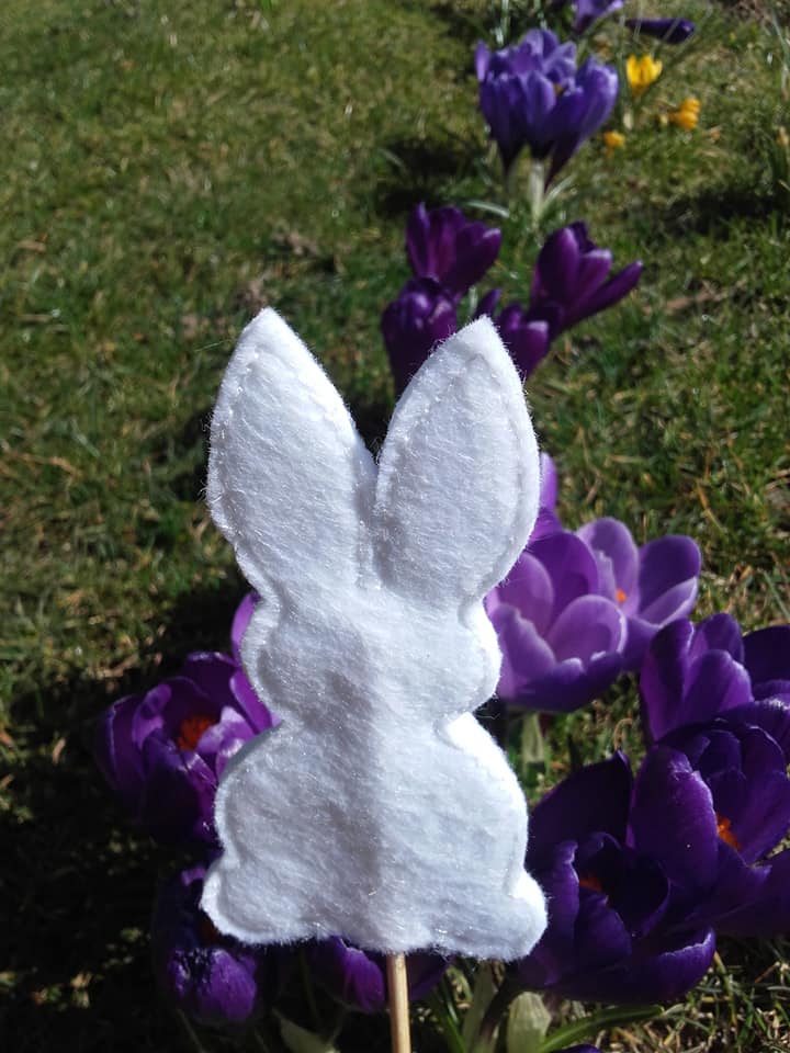 SD: (XXL SET) ITH Hase2018 ohne Gesicht