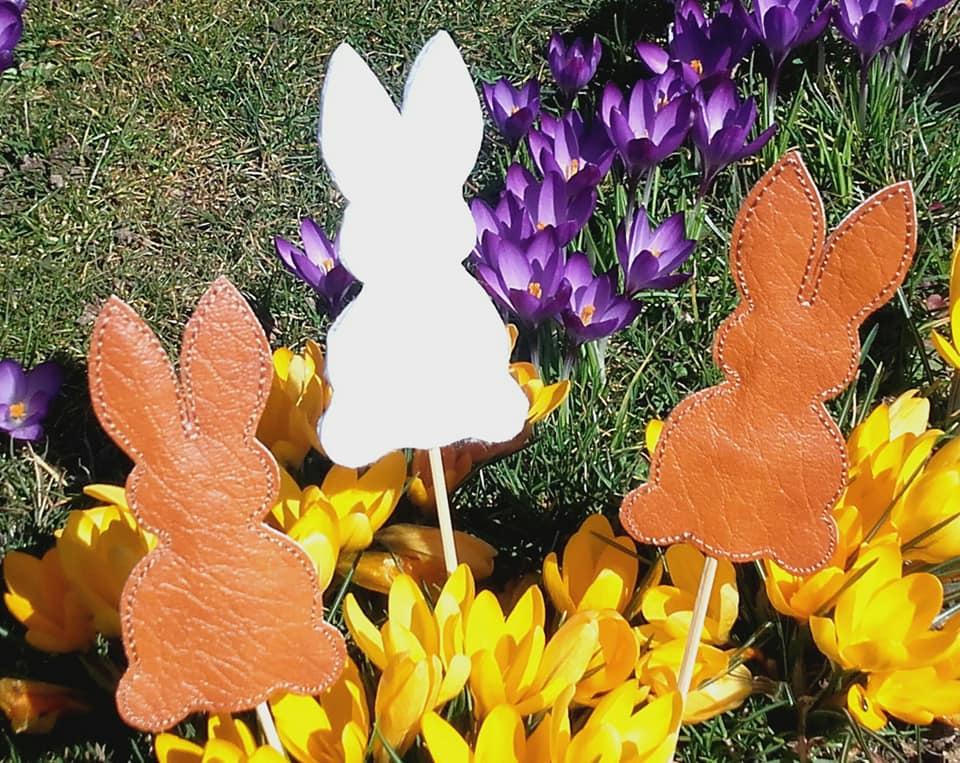 SD: ITH Hase2018 G 10er