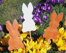 Laden Sie das Bild in den Galerie-Viewer, SD: ITH Hase2018 10er