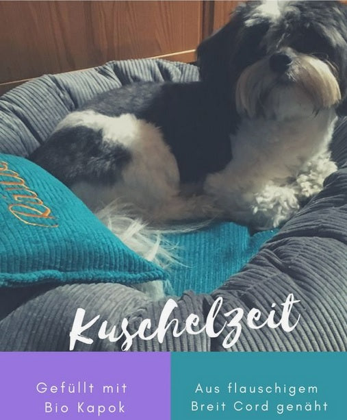 Hundebett S personalisiert + Kissen (Name)