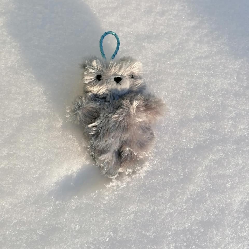 SD: ITH Baby Bär 10er