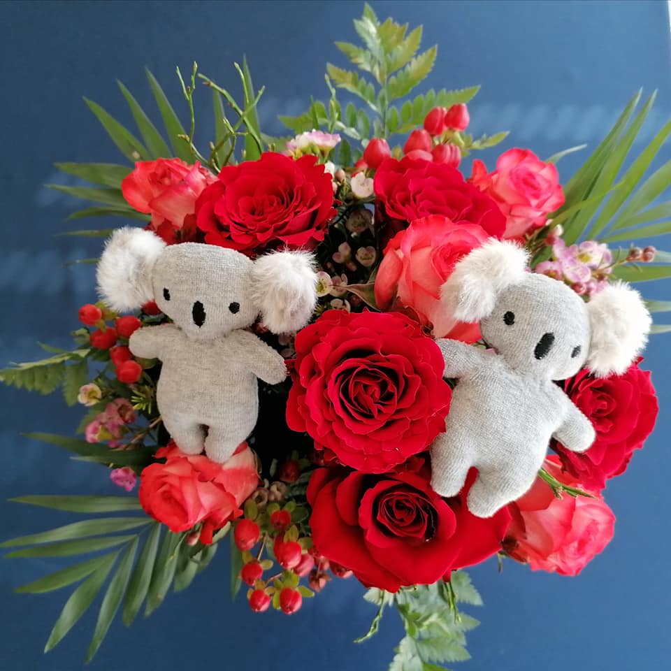 SD: ITH Baby Koala 10er