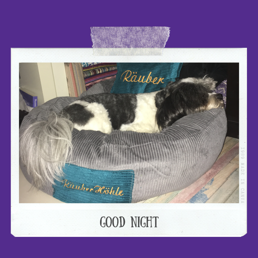 Hundebett S personalisiert + Kissen (Name)