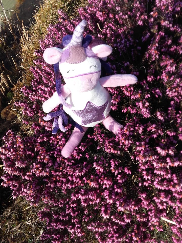 SD: (SET) ITH Einhorn 20er