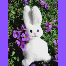 Laden Sie das Bild in den Galerie-Viewer, SD: ITH Hase2018 WÖ G 10er