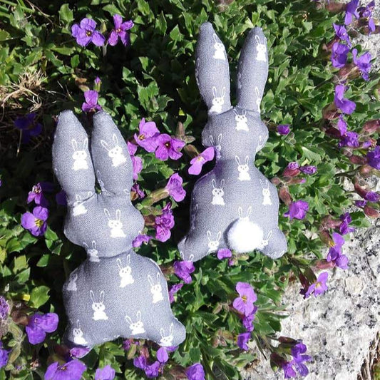 SD: ITH Hase2018 WÖ 10er