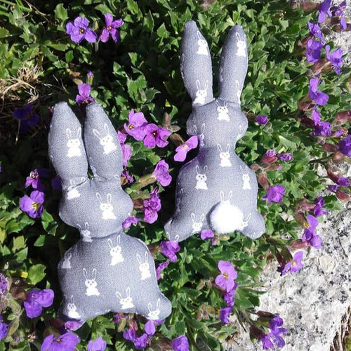 SD: ITH Hase2018 WÖ 10er