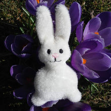 Laden Sie das Bild in den Galerie-Viewer, SD: ITH Hase2018 WÖ G 10er