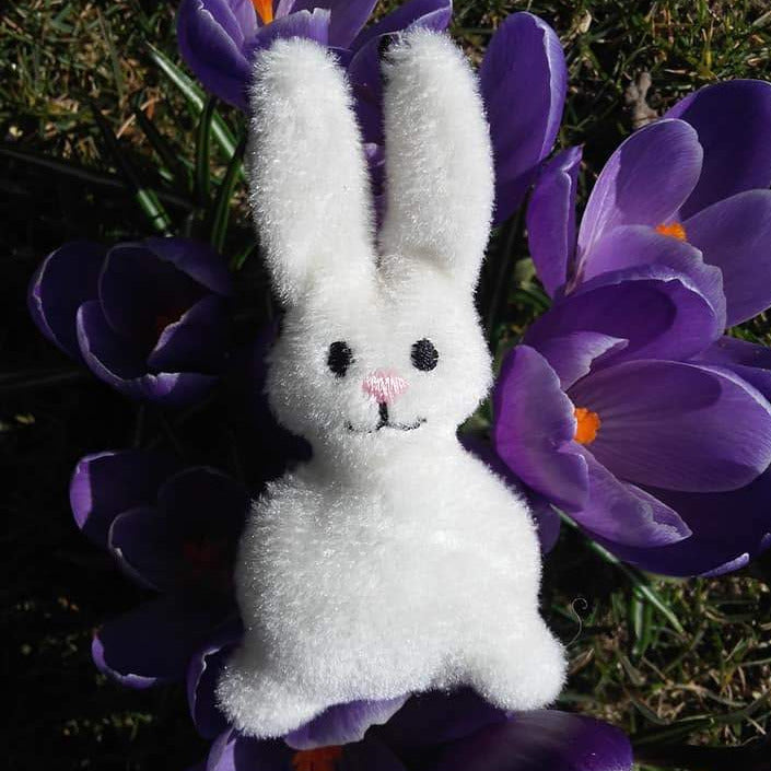 SD: ITH Hase2018 WÖ G 10er