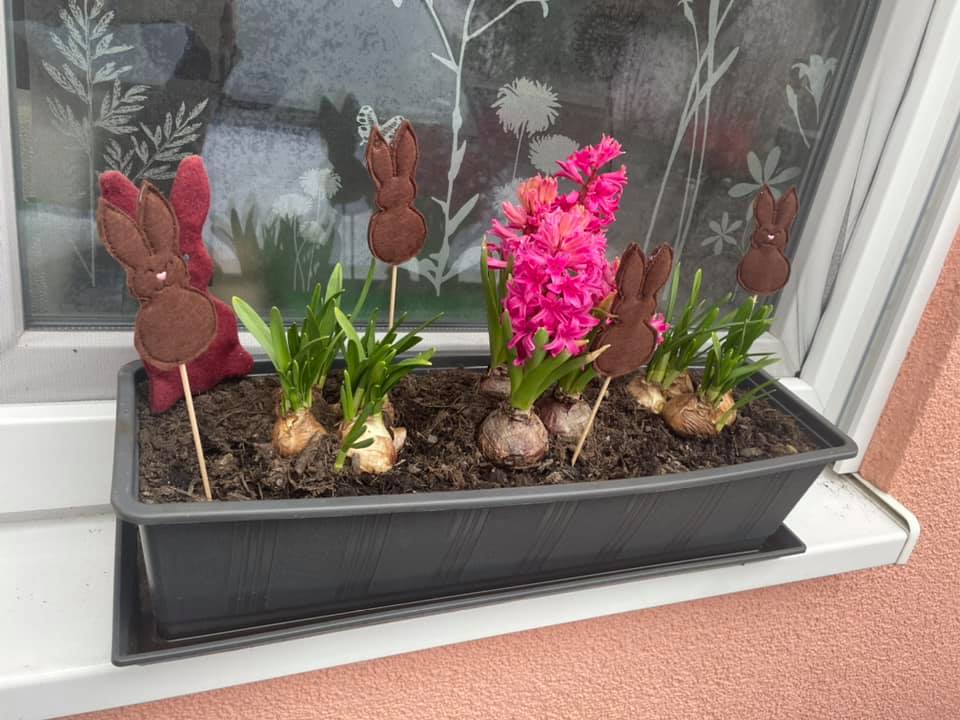 SD: (SET) 3x Hase 2021 Blanko - Anhänger & Steckis 10er