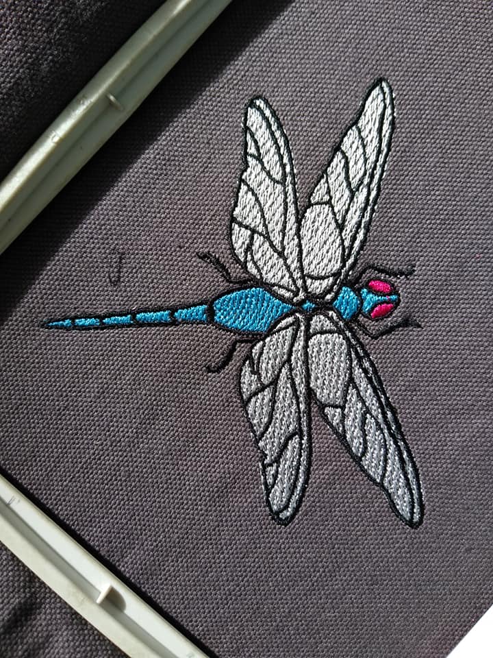 SD: Libelle 10cm
