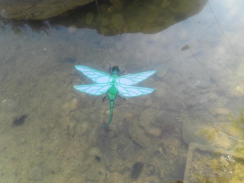 SD: Libelle 10cm