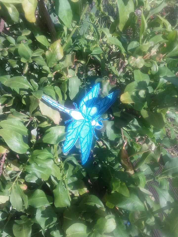 SD: Libelle 10cm