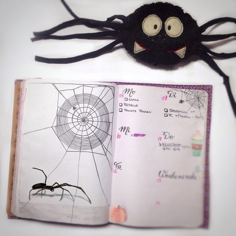 SD: (SET) ITH Spinne 10er