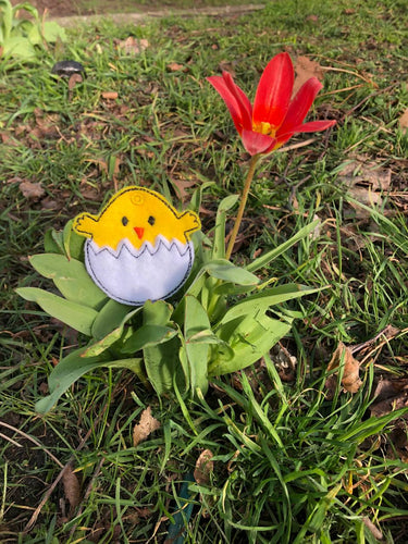 SD: schnelle Eierschalen Küken 2 10er