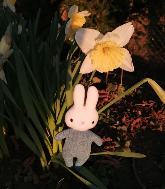 SD: ITH Baby Hase 2 - 9er