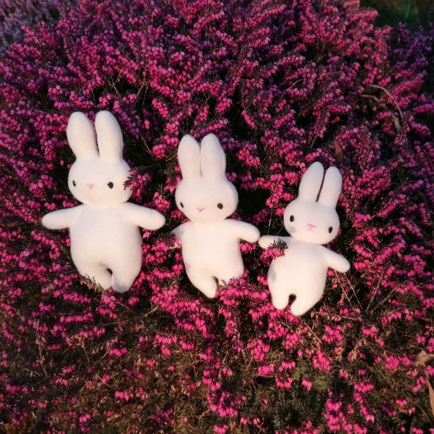 SD: ITH Baby Hase 2 - 10er