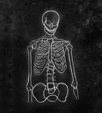 Laden Sie das Bild in den Galerie-Viewer, SD: Mr Skeletto Doodle 17er