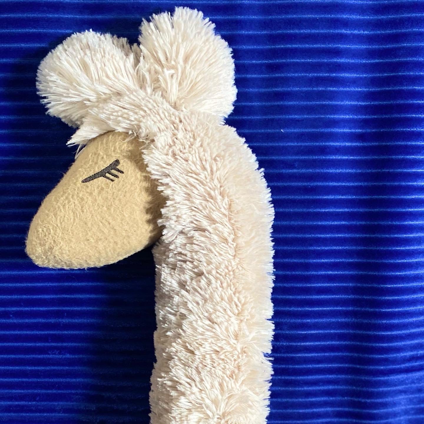 AlpakaLama Kuschelfreund