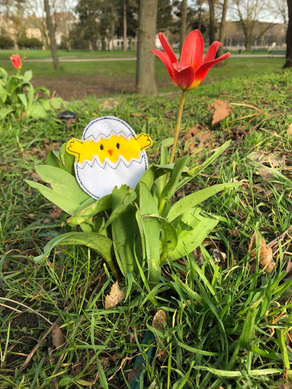 SD: schnelle Eierschalen Küken 4 10er