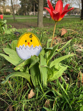 Laden Sie das Bild in den Galerie-Viewer, SD: schnelle Eierschalen Küken 1 10er