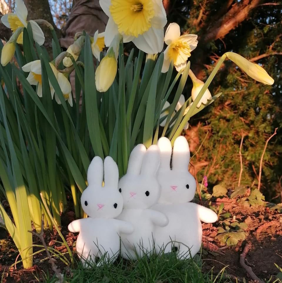 SD: ITH Baby Hase 2 - 9er