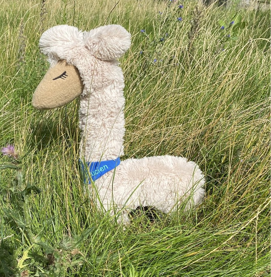 AlpakaLama Kuschelfreund